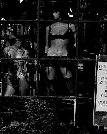"People, Street Scenes, Pondered Artifacts"