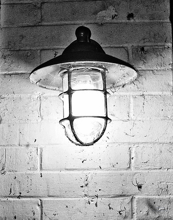 And The Spider Saw The Light