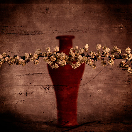 Art, Color, Flowers, Floral, Photo Art, ©johnfinkjr