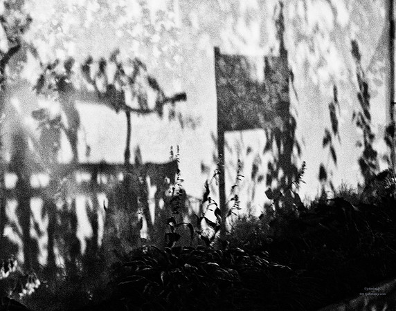 Shadow World