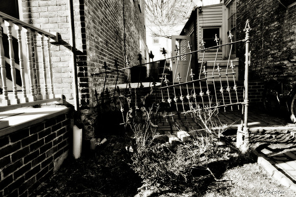 Dancing Alley Fence