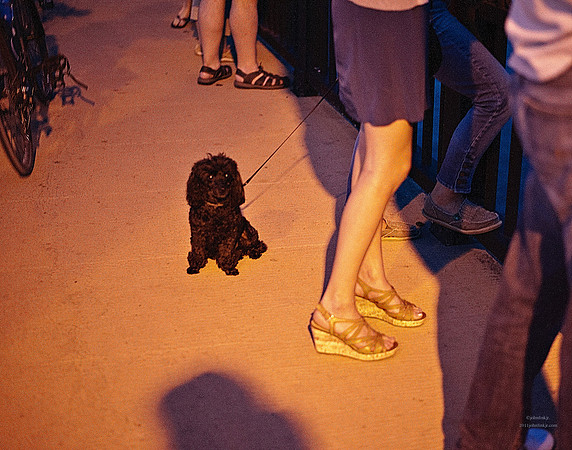 "People, Street Scenes, Pondered Artifacts"