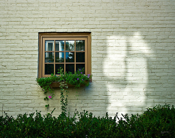 "Color, Doors, Objects, Scenery, Windows, Architecture, Automobiles, Artifacts"