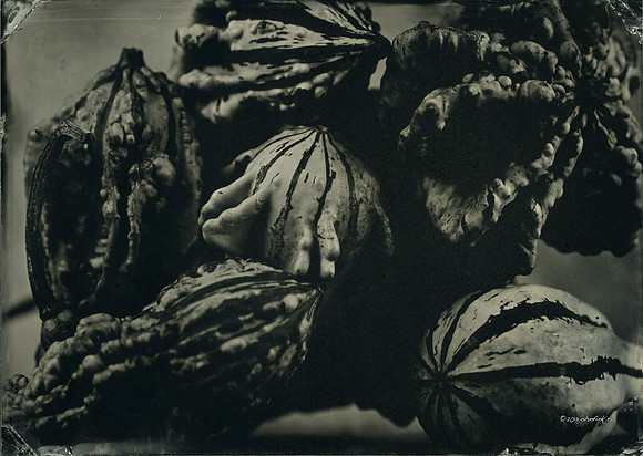 Pile Of Gourds