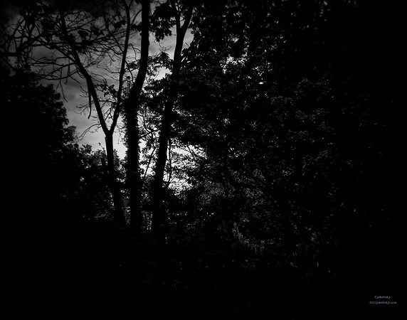 The Dark Always Watches