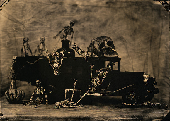 wet plate collodion, Still Life, Skulls, Skeletons, Bones, Graveyards